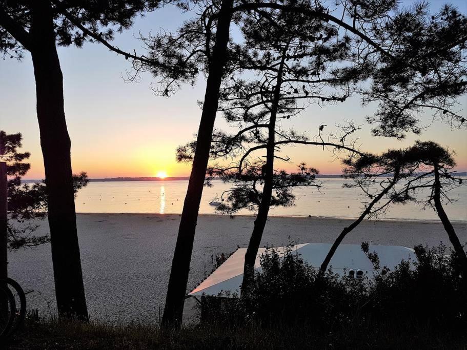 Appartement Les Pieds Dans L Eau Acces Direct Plage Pereire, Parking Gratuit ,Wifi Аркашон Екстер'єр фото